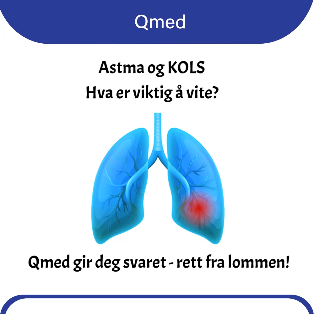 Qmed gir deg svaret - rett fra lommen